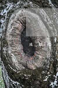 成都公积金贷款 逾期 成都公积金贷款 逾期